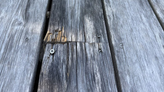 Organowood - våra erfarenheter