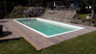 Pool fick böldpest - poolbutiken förlorar i domstol