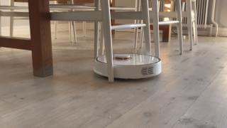 Vad kan du om robotar?