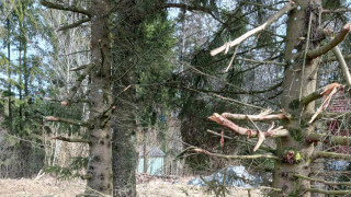 Skadegörelse på vår mark