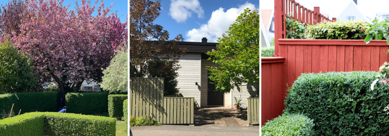 Insynsskydd i trädgården – guide med 9 fina alternativ