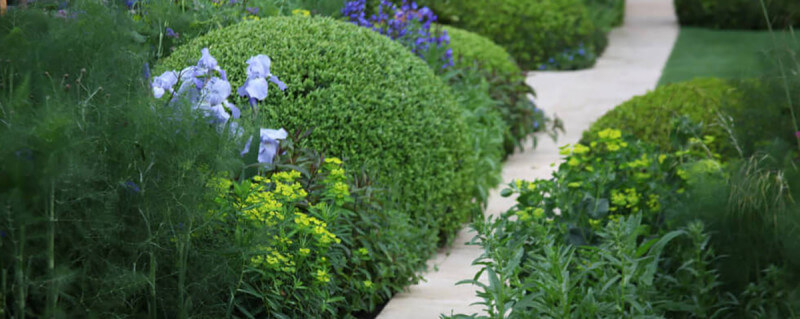 Bli din egen trädgårdsarkitekt – få grannarna att häpna