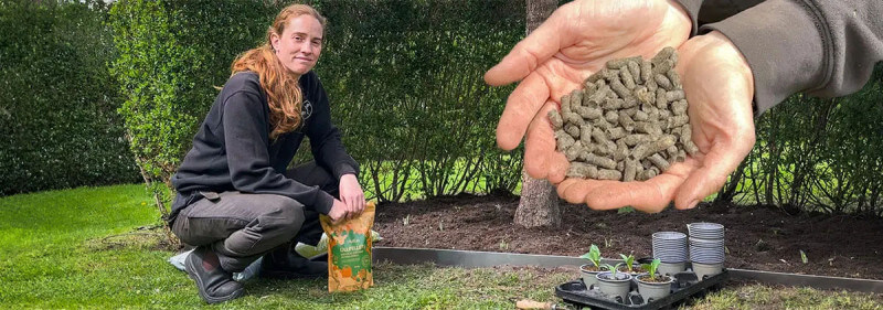 Grön trädgård trots vattenbrist med smart bevattning och ullpellets